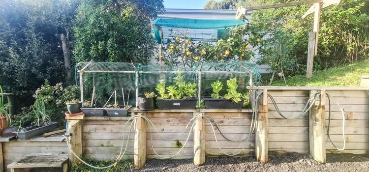 107 Foreshore Road Ahipara_22