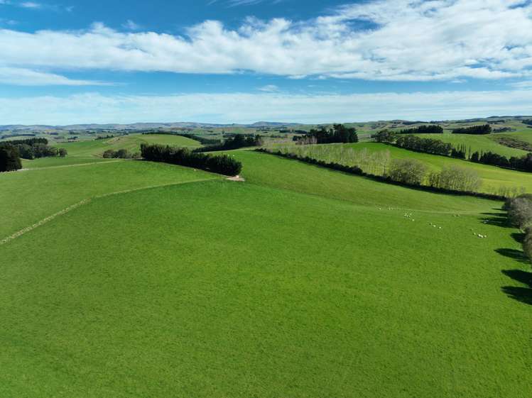 191 Chapman Road Wharetoa_6