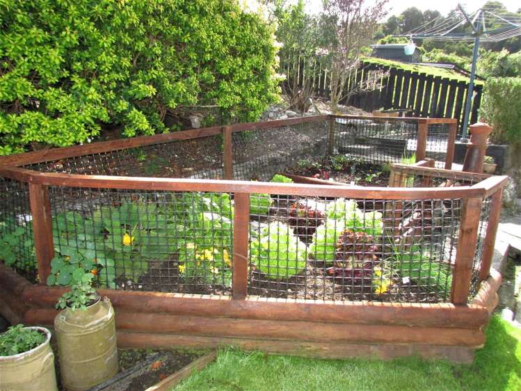 11 Ashmore Avenue Cobden_20