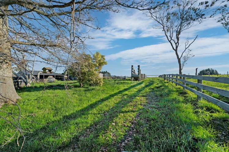 46 McCready Road Tuakau_17