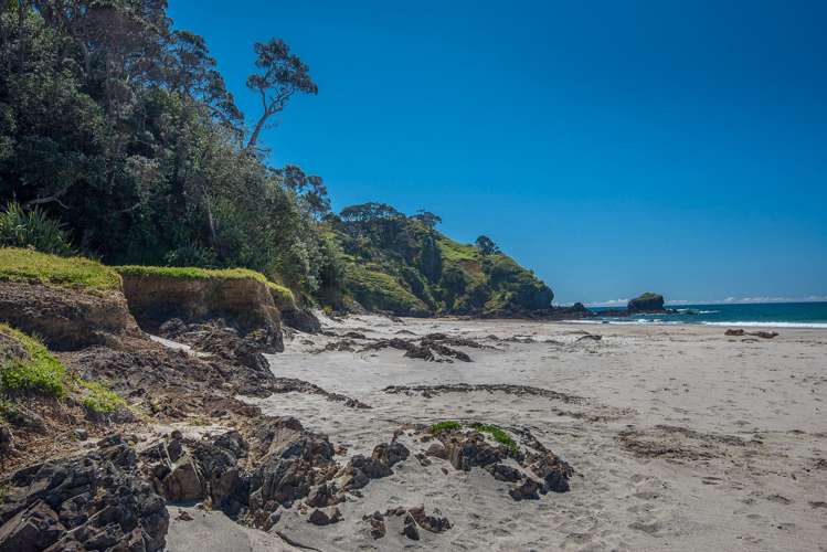 Kauri Mountain Road Whangarei_7