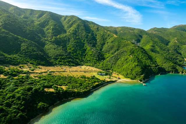 Lot 8 and 10 Onauku Bay Arapaoa Island_1