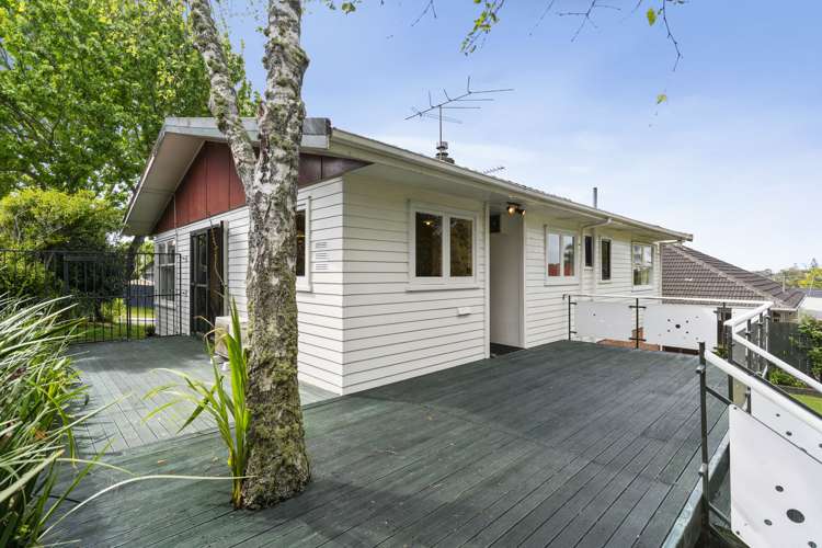 29 Taupo Street Green Bay_21