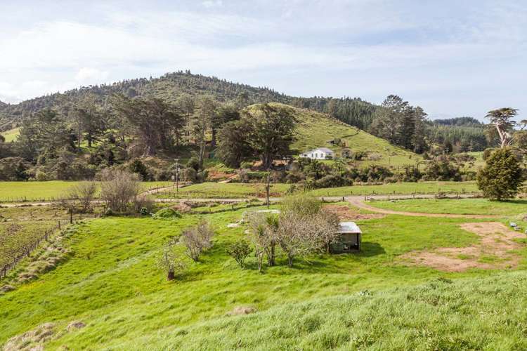 217 Kaimarama Road Kaimarama_14