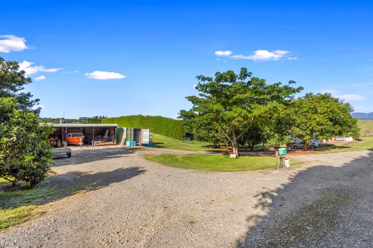 342 Youngson Road Whakamarama_19