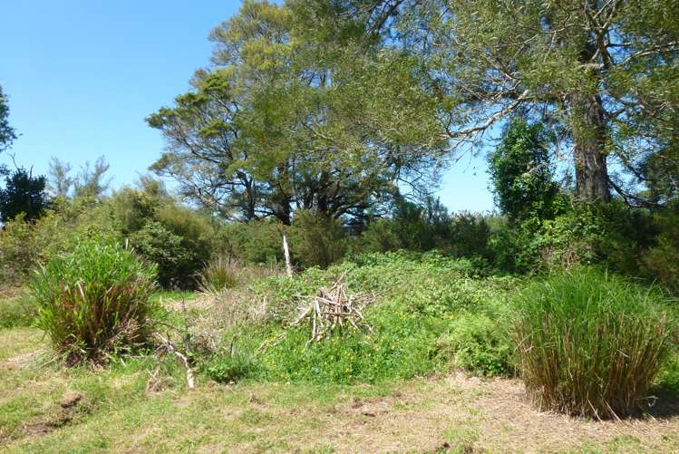 80 Main Road Blackball_15