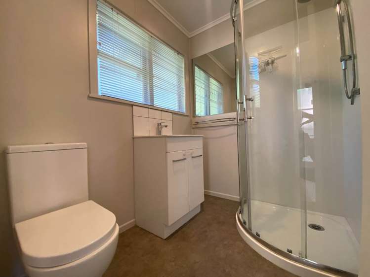 20 Matatea Avenue Pukekohe_7