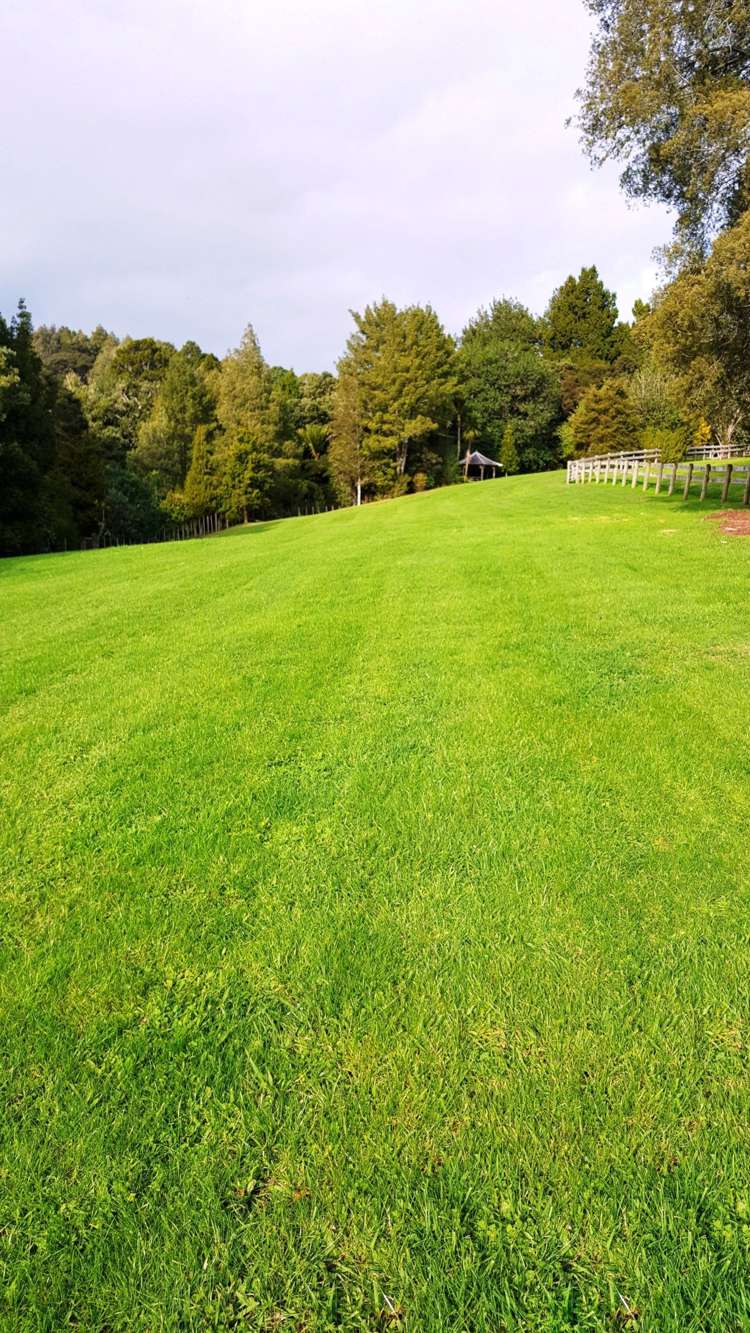 9 Pearson Road Whitford_5