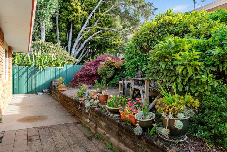 6 Racecourse Way Gate Pa_9