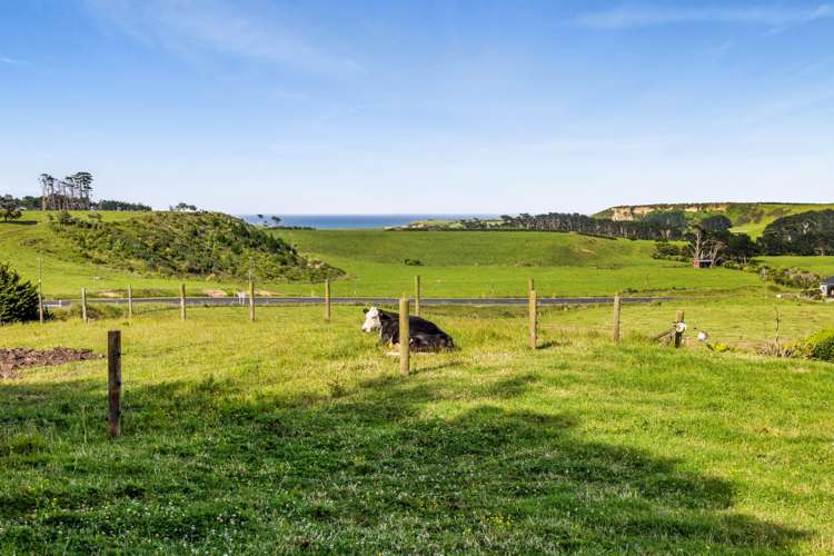 25a Livingston Road Hawera_8