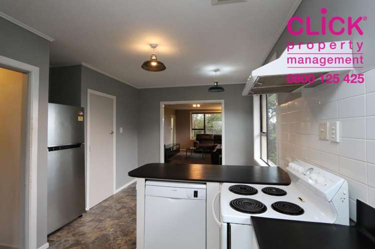 14 Larnach Road Waverley_3