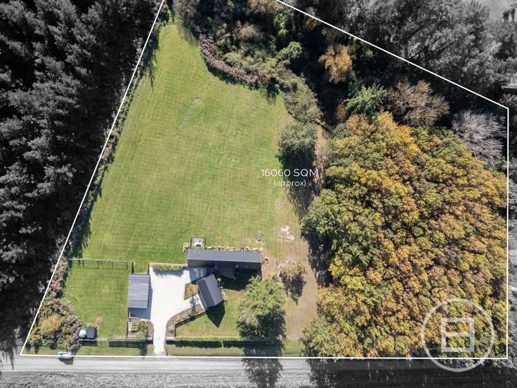 258 Forestry Road Ashley_34