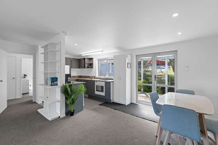 46a Whitaker Street Te Aroha_8