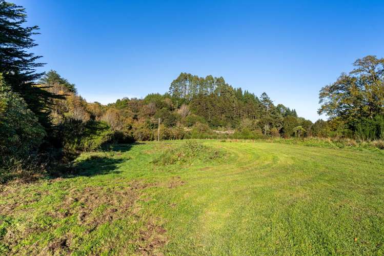 315 Leith Valley Road Leith Valley_23