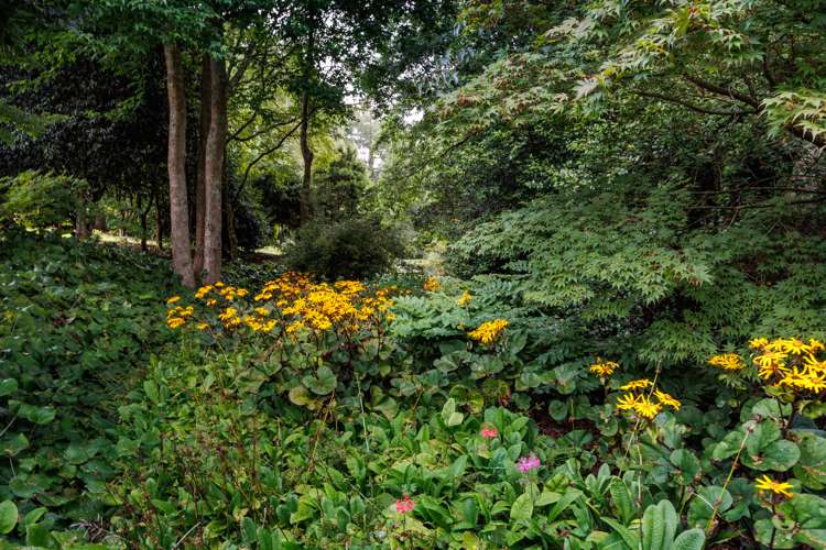 60 Grammar Street Kimbolton_7