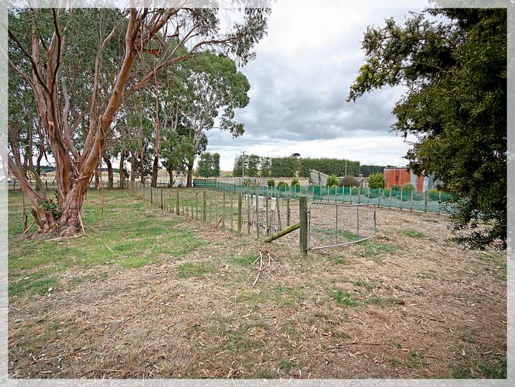 332 Foxton Shannon Road Foxton_18