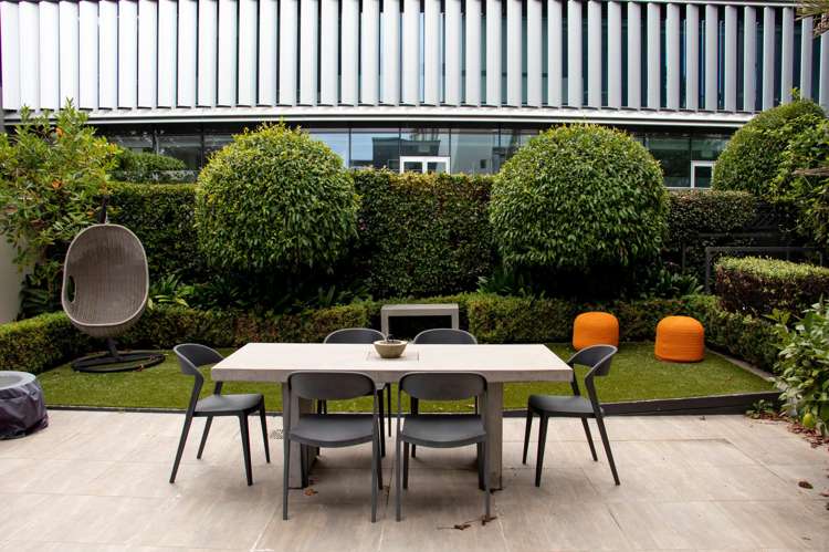 2/23 Napier Street Freemans Bay_5