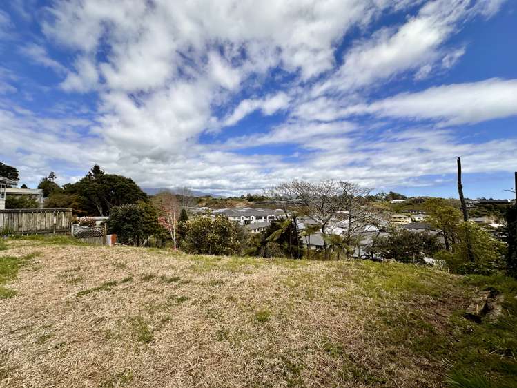 466A Carrington Street_5