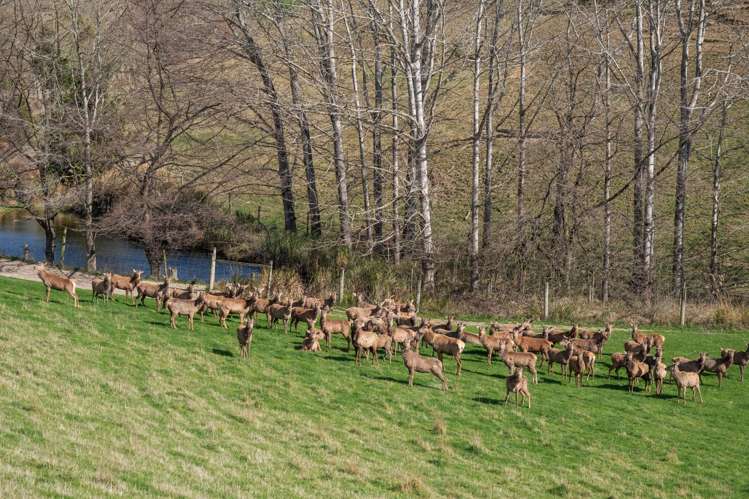 17 Timewell Road Hazelburn_19