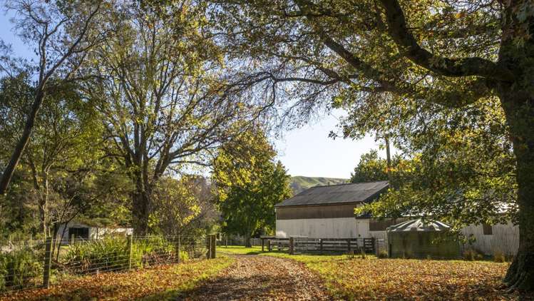 72 Te Hau Road Masterton_3