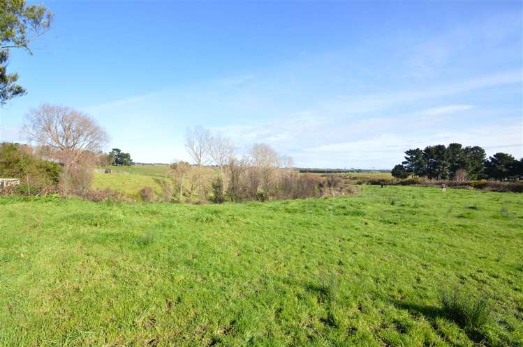 7 Julyan Street Shannon_3