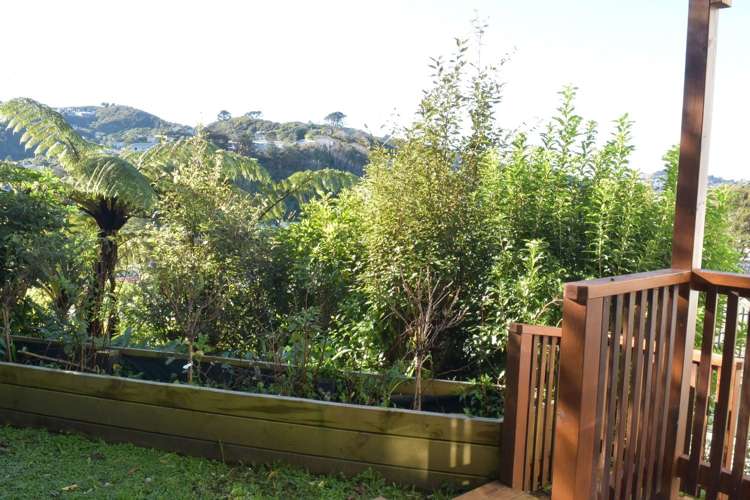 18 Collier Avenue Karori_11