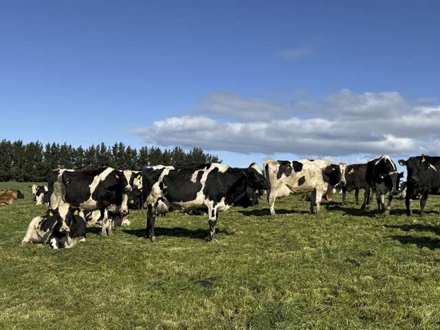 169 Hamilton Road Isla Bank_2