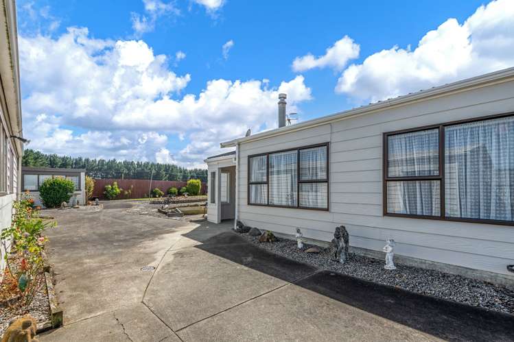 35 Edinburgh Terrace Foxton Beach_19