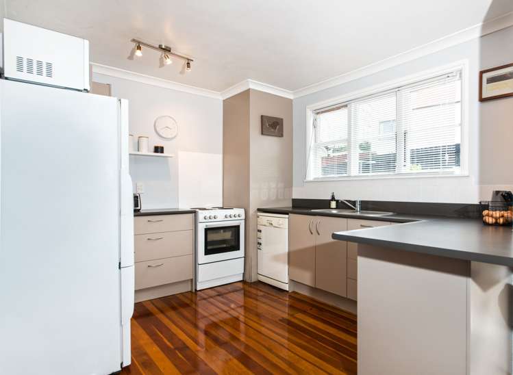 11 Mcculloch Road Panmure_8