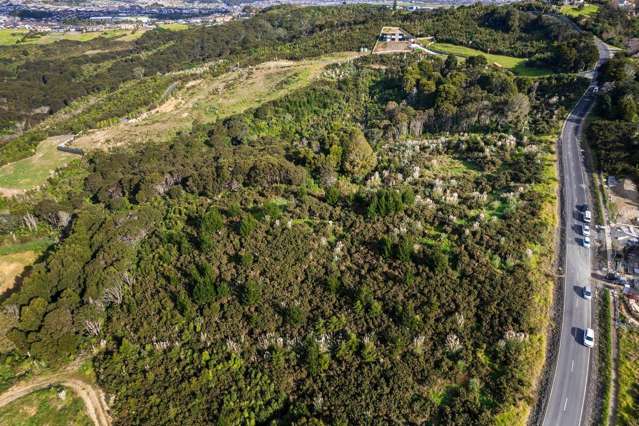 88 Griggs Road East Tamaki Heights_4