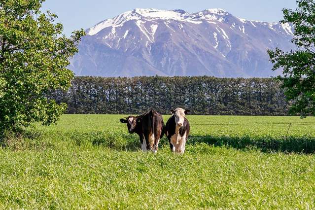 1280 Back Track Rakaia_1