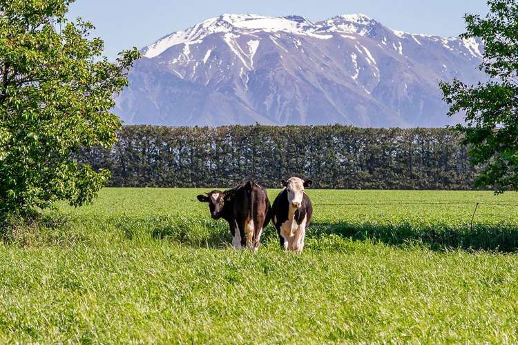 1280 Back Track Rakaia_1