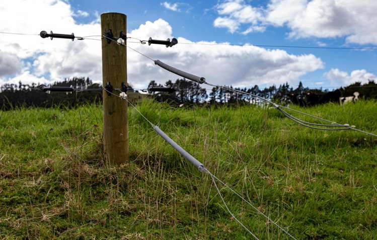 30C Te Ranga Road Kaeo_40