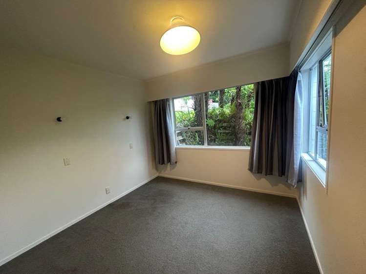 21A Galaxy Drive Mairangi Bay_9