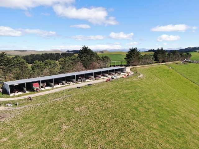 143 Oamaru Creek Road Rosebery_3