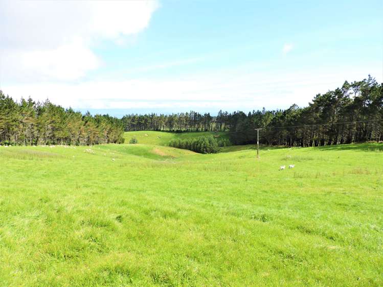 466 Tourere Road Waipukurau_11