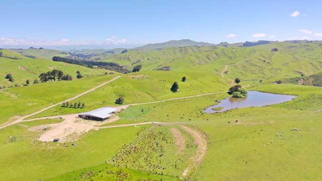 207 Mangatuna Road Weber_2