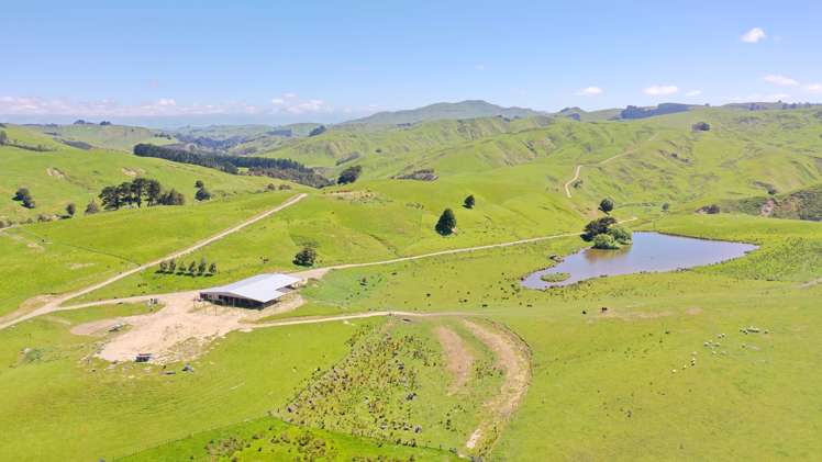 207 Mangatuna Road Weber_2