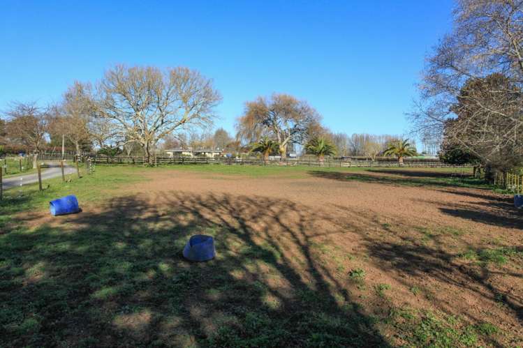 401a Marychurch Road Matangi_15