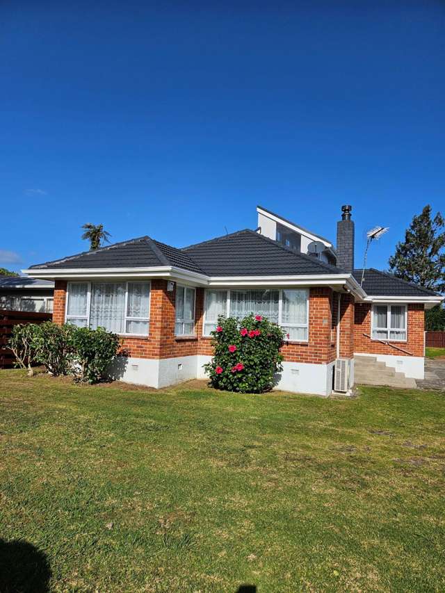 Comfortable Family Living in Papatoetoe