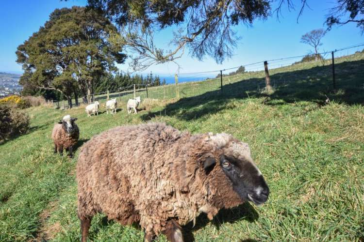 4A Ronay Street Bradford_9