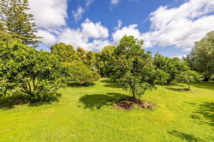 30 Wiroa Road Kerikeri_29