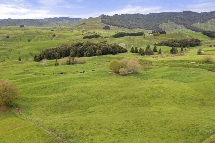 80 Parakoko Road Aria_16