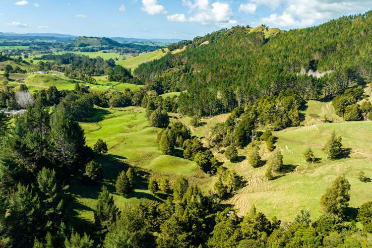 255 O'Carroll Road Maungakaramea_16