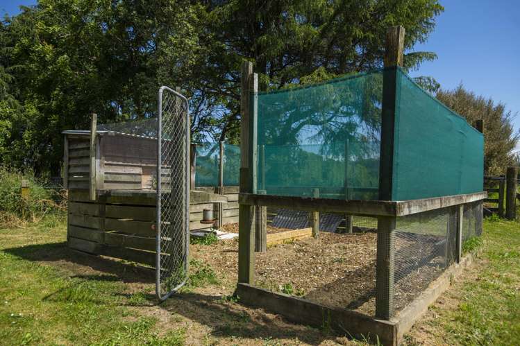 37 Branson Road Waipaoa_31