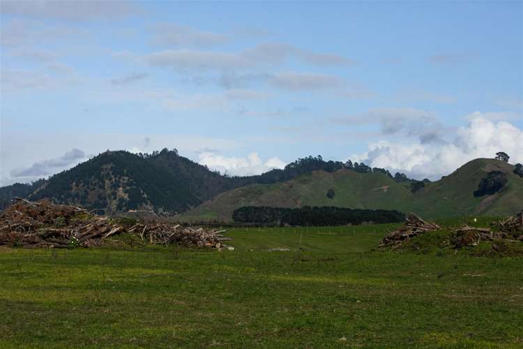 30 The Crescent Waihi Beach_18