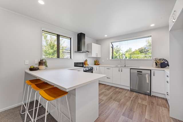 17 Buick Street Redwoodtown_2