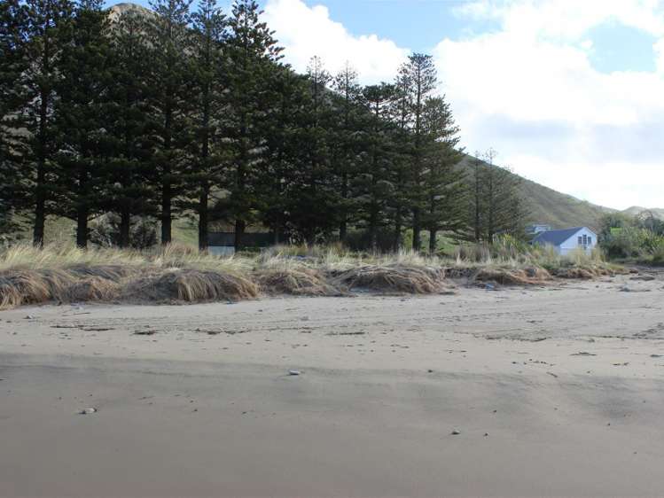 75 Shoal Beach Road Central Hawkes Bay Coastal_13