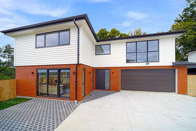 16 Parehua Lane Swanson_3