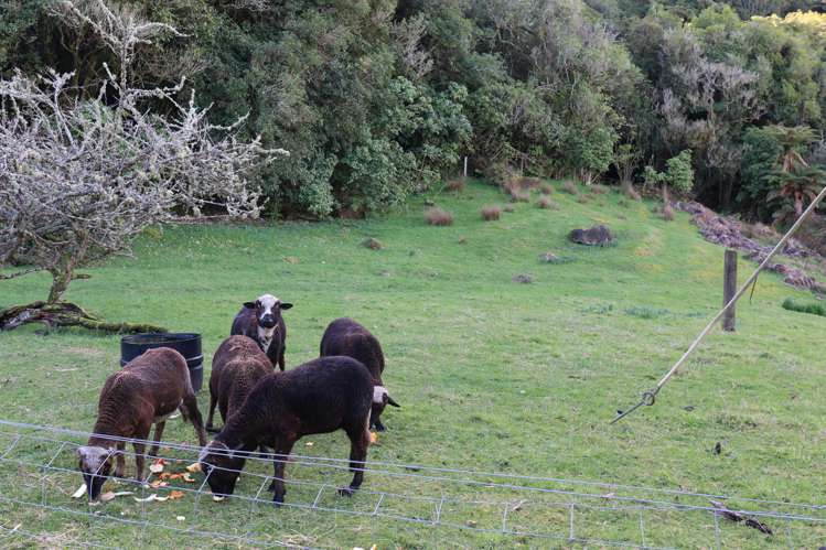 7 Sturgess Terrace Te Kuiti_9